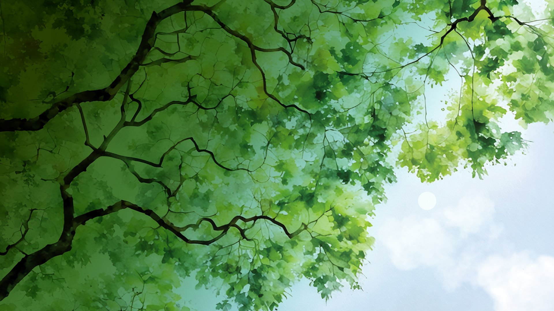 banner3 1